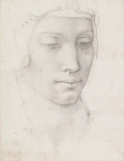 The Head of the Virgin Michelangelo